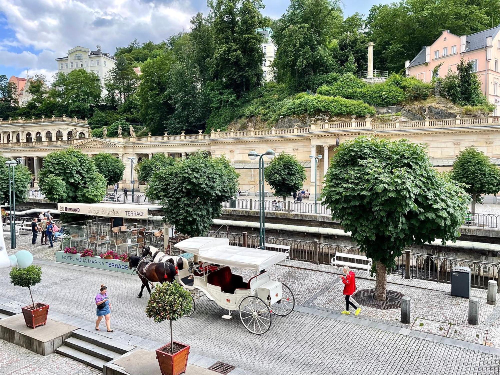 Carlsbad Grand Studio Michal Karlovy Vary Kültér fotó